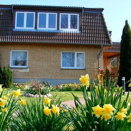 Ferienwohnung Struve Nr 2 Petersdorf auf Fehmarn Екстер'єр фото